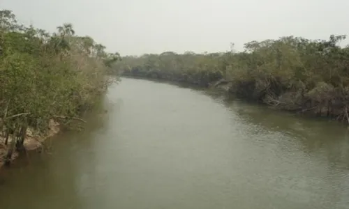 
          Imagem ilustrativa da imagem Diretoria da ANA aprova declaração de escassez hídrica no Rio Xingu
          