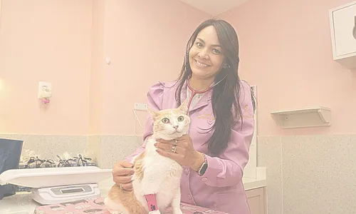 
          Imagem ilustrativa da imagem Gatos estressados e ansiosos? Tem tratamento!
          