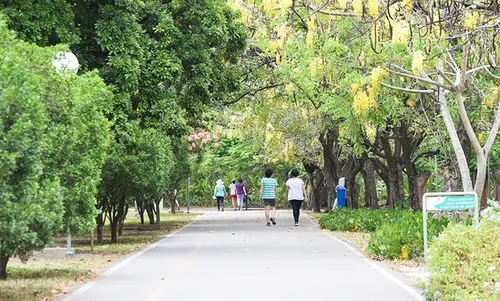 
          Imagem ilustrativa da imagem Homem de 50 anos fica ferido depois de ser assaltado em pleno Parque da Jaqueira
          