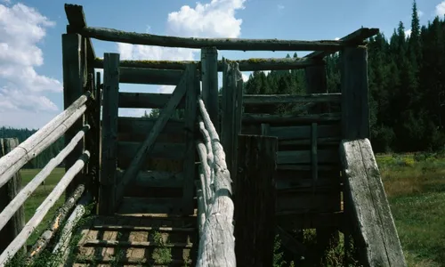 
          Imagem ilustrativa da imagem Homem é morto por boi dentro de curral na Região Serrana do ES
          