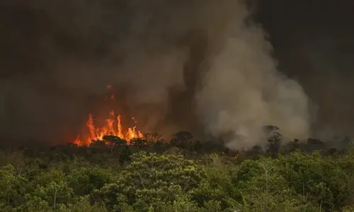 
          Imagem ilustrativa da imagem Incêndios podem ter afetado mais de 11 milhões de pessoas no Brasil
          