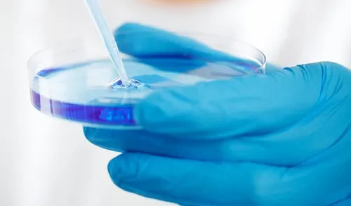 
          Imagem ilustrativa da imagem Infertilidade atinge 351 mil pessoas no ES
          