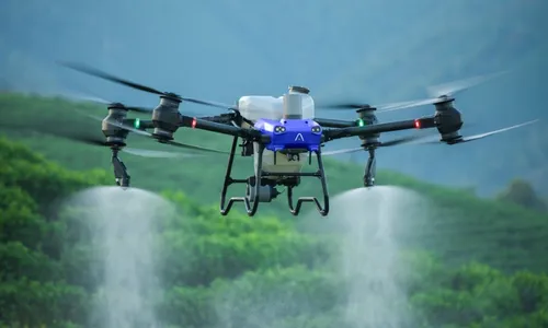 
          Imagem ilustrativa da imagem Lucro com o agro vivendo na cidade
          