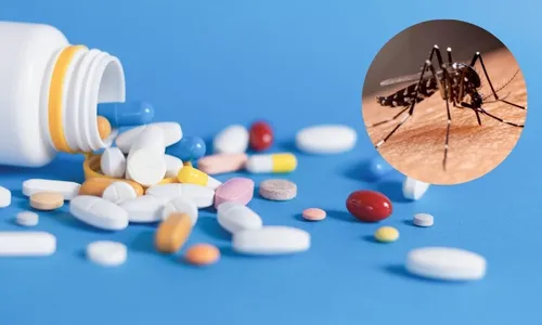 
          Imagem ilustrativa da imagem Medicamento oral contra a dengue vai ser testado no País
          