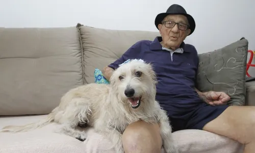 
          Imagem ilustrativa da imagem Melhores cães para conviver com idosos
          