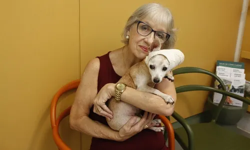 
          Imagem ilustrativa da imagem Melhores cães para conviver com idosos
          