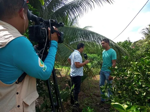 
          Imagem ilustrativa da imagem Notícias do Campo deste domingo será exibido mais cedo na TV Tribuna PE
          