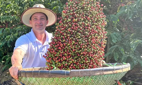 
          Imagem ilustrativa da imagem Ouro negro do agro: bebida especial é a bola da vez
          