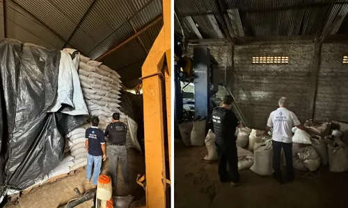 
          Imagem ilustrativa da imagem Polícia apreende 89 toneladas de pimenta e 250 sacas de café no Norte do ES
          