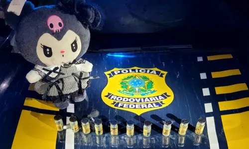 
          Imagem ilustrativa da imagem Polícia encontra anabolizantes paraguaios escondidos em bicho de pelúcia no ES
          