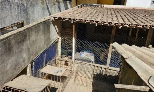 
          Imagem ilustrativa da imagem Preso suspeito de matar homem dentro de chácara na Serra
          