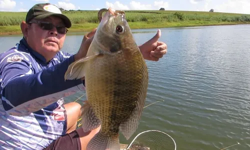 
          Imagem ilustrativa da imagem Produção em Jaguaré de iscas para pescar
          