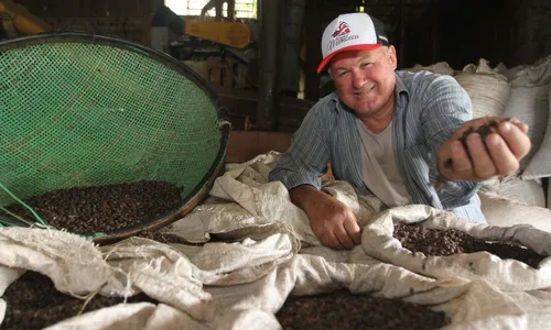 
          Imagem ilustrativa da imagem Produtores do ES investem para lucrar com a nova onda do café
          