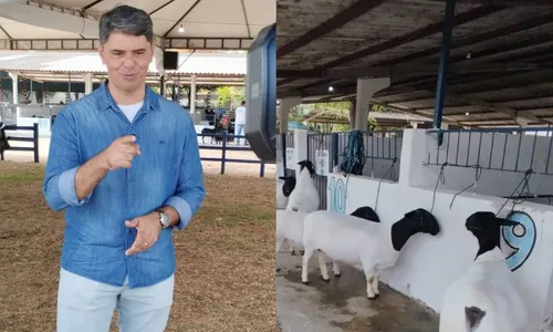 
          Imagem ilustrativa da imagem Programa Notícias do Campo destaca práticas agrícolas inovadoras neste domingo (17)
          