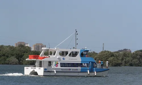 
          Imagem ilustrativa da imagem Sistema aquaviário: Nova lancha tem dois andares e vista panorâmica
          