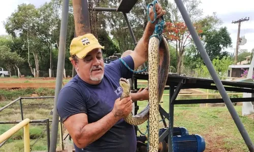 
          Imagem ilustrativa da imagem Sucuri entra em tubulação e interrompe fornecimento de água em cidade de SP
          