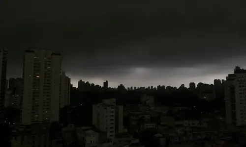 
          Imagem ilustrativa da imagem Temporal em SP derruba árvores e deixa moradores sem luz
          