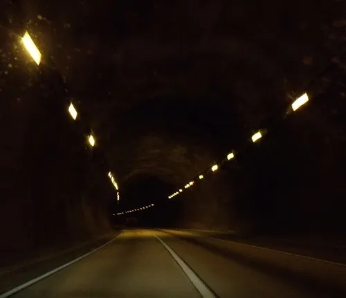 
          Imagem ilustrativa da imagem Túnel na BR 232 terá faixa interditada, a partir desta quarta-feira (18)
          