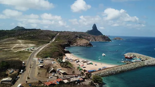
          Imagem ilustrativa da imagem Turista é mordida por tubarão em Fernando de Noronha
          