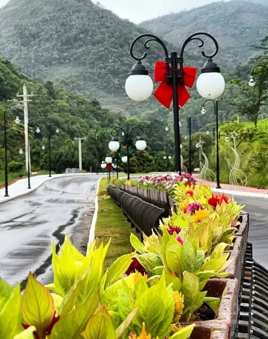 Imagem ilustrativa da imagem Avenida em Guarapari inspirada em Gramado