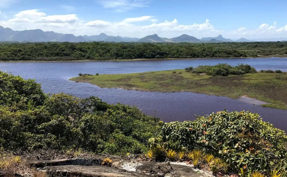 Imagem ilustrativa da imagem Guarapari: a capital da biodiversidade marinha