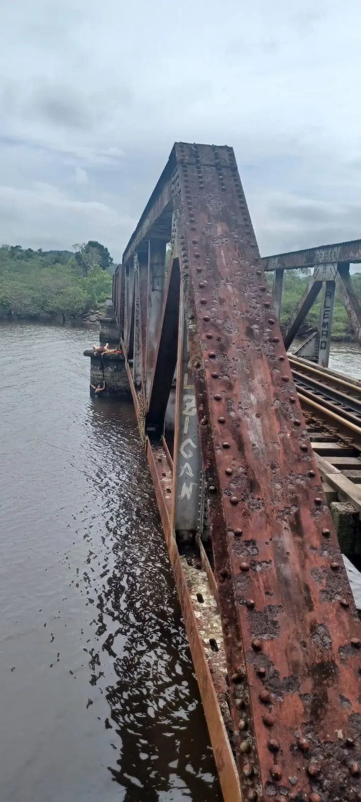 Imagem ilustrativa da imagem Mulher cai de ponte ao tirar foto e se segura em cadarço até ser resgatada por bombeiro; veja vídeo