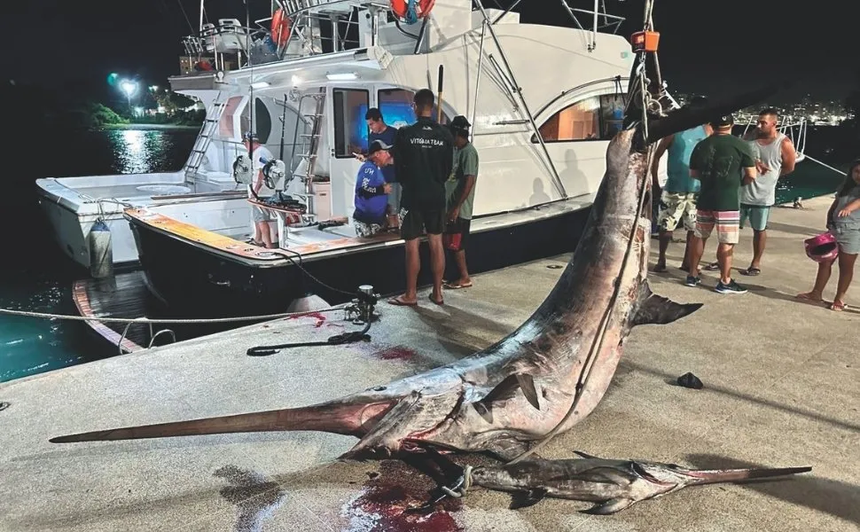 Imagem ilustrativa da imagem Peixe de 328 quilos: "A pesca foi muito especial", diz comandante da embarcação