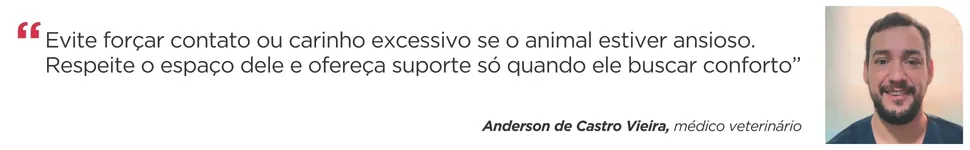 Imagem ilustrativa da imagem Veterinários apontam cuidados com os pets nas festas de fim de ano