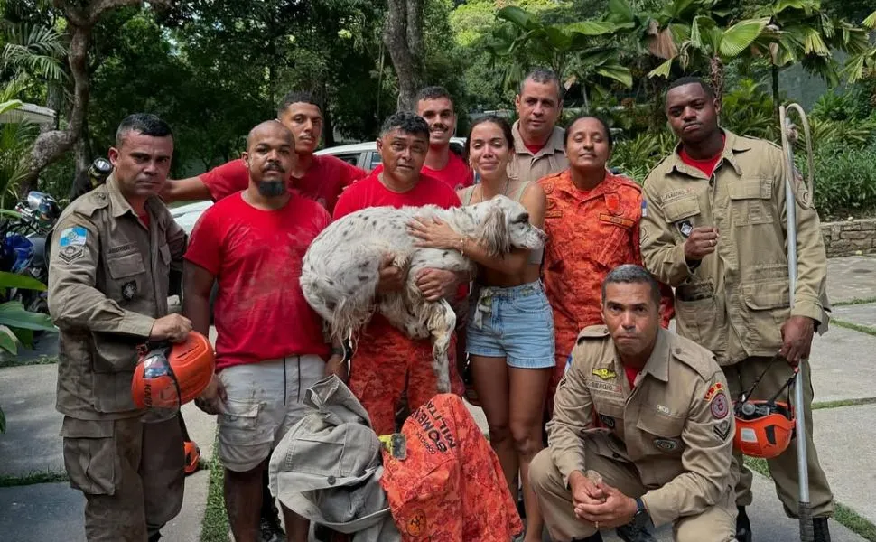 Imagem ilustrativa da imagem Anitta encontra seu cachorro Charlie após sumiço na noite de Natal