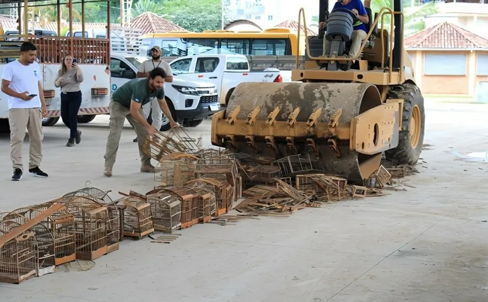 Imagem ilustrativa da imagem Gaiolas apreendidas em ações de fiscalização ambiental do Iema são destruídas