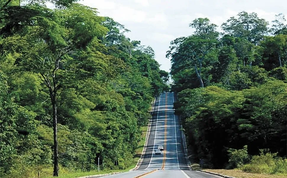 Imagem ilustrativa da imagem Trecho da BR-101 que passa pela Reserva de Sooretama terá redução de velocidade