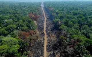 Imagem ilustrativa da imagem MPF acusa 647 réus por emissão de carbono em desmate na amazônia