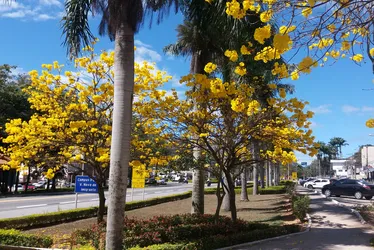 Imagem ilustrativa da imagem Ações para uma cidade cada vez mais verde