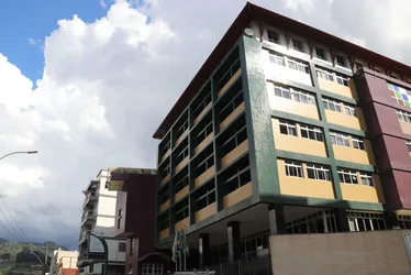 Imagem ilustrativa da imagem Ações para uma cidade cada vez mais verde