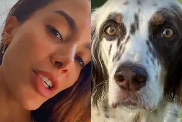 Imagem ilustrativa da imagem Anitta encontra Charlie, seu cachorro, após sumiço no Natal