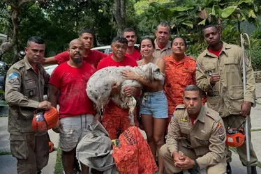 Imagem ilustrativa da imagem Anitta encontra seu cachorro Charlie após sumiço na noite de Natal