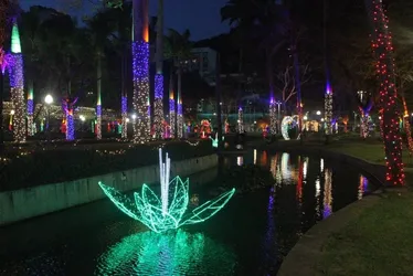 Imagem ilustrativa da imagem Homem é detido após furtar iluminação de Natal em Vitória