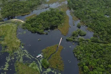 Imagem ilustrativa da imagem Aumento de lagoa fecha trilhas do Parque Estadual Paulo César Vinha