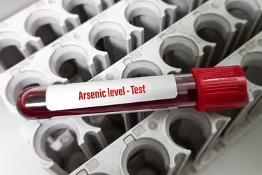 Imagem ilustrativa da imagem Bolo contaminado com arsênio: entenda risco da substância
