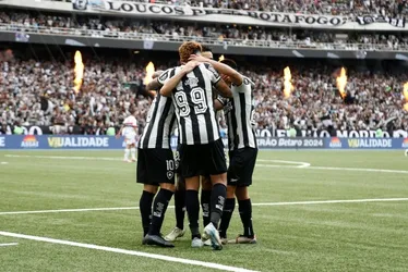 Imagem ilustrativa da imagem Botafogo é o campeão brasileiro de 2024