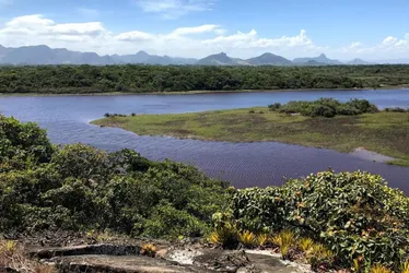 Imagem ilustrativa da imagem Guarapari: a capital da biodiversidade marinha