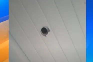 Imagem ilustrativa da imagem Criança é baleada dentro de casa durante a virada do ano