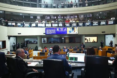 Imagem ilustrativa da imagem Deputado do ES quer liberar arma de choque para mulheres