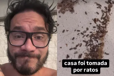 Imagem ilustrativa da imagem Eliezer conta que sua casa com Viih Tube está infestada por ratos: 'Casa tomada'