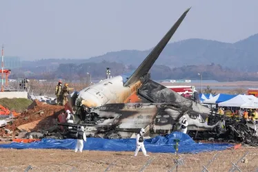Imagem ilustrativa da imagem Especialistas questionam causa de acidente aéreo na Coreia do Sul