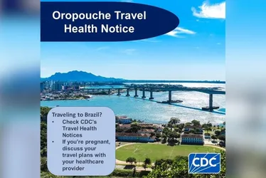 Imagem ilustrativa da imagem Febre do Oropouche: órgão de saúde dos EUA alerta sobre risco de viagens ao ES