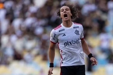 Imagem ilustrativa da imagem Flamengo decide não renovar com David Luiz