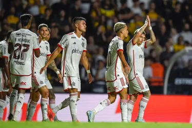 Imagem ilustrativa da imagem Flamengo vence fora de casa e deixa o Criciúma perto da Série B