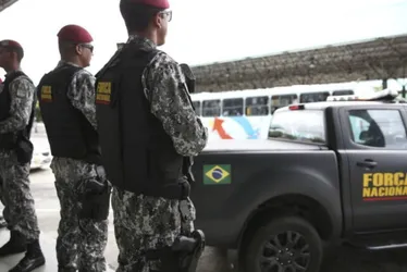 Imagem ilustrativa da imagem Governo reforça efetivo da Força Nacional no Paraná após ataque a indígenas