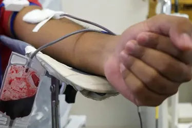Imagem ilustrativa da imagem Hemoes faz ação de coleta de sangue em Vila Velha. Veja como doar